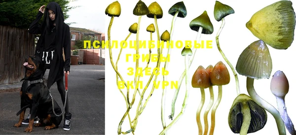 герыч Верея