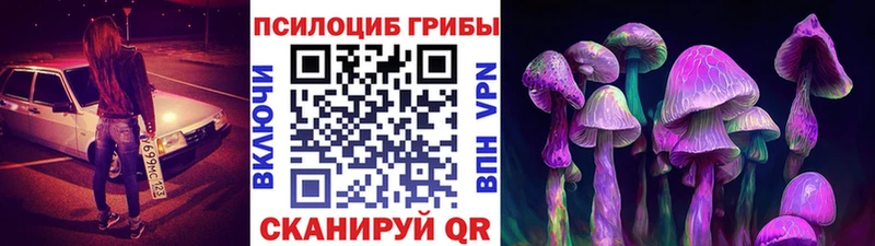 Псилоцибиновые грибы прущие грибы  Яровое 